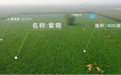 太极涪陵制药厂技术创新，质量管控，科技赋能现代中药