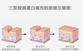 金陵PAC人源化抗衰专利原理