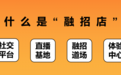 王昕导师：最赚钱的十个招商模式，缺钱的进来看