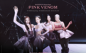 BLINK们在酷狗过年啦！BLACKPINK全新单曲《Pink Venom》上线酷狗