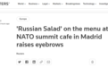 外媒：记者惊讶发现，“俄罗斯沙拉”出现在北约峰会会场餐厅菜单
