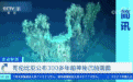 300多年前神秘沉船画面公布！“宝藏”价值高达1100多亿元