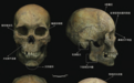 以骨释人，寻骨觅踪：2021年人类骨骼考古盘点
