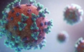 新抗体可中和新冠病毒目前已知所有变种，将催生新型新冠疫苗