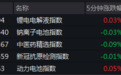 储能赛道重燃 头部企业争夺钠电负极制高点
