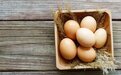 浙大研究：每天多吃一个蛋，心脏病和癌症死亡风险或升高？可信吗