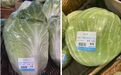 一颗白菜78元？高价精品菜实为普通蔬菜，上海这家超市被罚50万