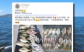 香港海域突现百万鲳鱼 背后原因令人唏嘘！