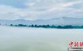 青海尖扎：薄雾、群山、绿树勾勒黄河夏日图景