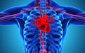 研究人员：新冠病毒很可能直接对心脏的DNA产生影响