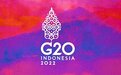 世界经济论坛智库：G20约三分之一成员国最关切通胀问题