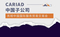 CARIAD中国子公司亮相中国国际服务贸易交易会