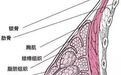 乳房按摩有多不靠谱？水肿、发炎、致癌，后果一个比一个严重