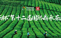 “中茶杯”第十二届国际鼎承茶王赛秋季赛正式启幕！