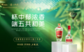 “五”粮酒香飘端午