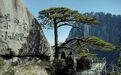 黄山，迎客松无客可迎