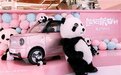 吉利熊猫mini实车首发，小姐姐新宠？