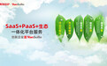 纯公有云SaaS发布三年，用友YonSuite如何助力“五新”企业商业创新？