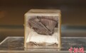 世界上考古发现最古老的粽子实物 距今已有748年
