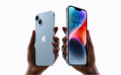 转转手机市场分析：iPhone 14上市即破发？十三香坚挺