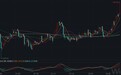金价迫近2000美元大关！世界黄金协会中国区CEO王立新：投资者风险偏好显著下降令黄金战略价值凸显