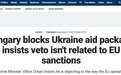 反对援乌180亿欧元 这国就制裁俄罗斯“全国磋商”