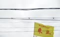 民俗·日常｜田兆元：鸟舟竞渡才是端午最古老的传统