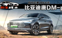 月均花费1866元，比亚迪唐DM-p用车成本解读