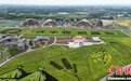 航拍2022年中国农民丰收节全国主会场