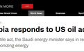 美媒指责欧佩克将能源武器化 沙特能源大臣“回怼”