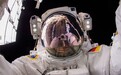 宇航员头盔进水 NASA叫停国际空间站所有太空行走任务