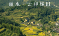 文旅新玩法，云和梯田21日将发售4款数字藏品