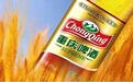 堪称魔幻，重庆啤酒是怎么“老树开新花”的？