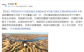 罕见！塔克拉玛干沙漠出现众多湖泊！为何不能趁机种树？