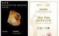 引领品牌创新，倡导亲子陪伴母婴品牌新势力Mini Bala斩获两项业界大奖