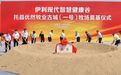 伊利股份赋能奶业振兴 全球规模最大奶牛养殖基地建设进行时