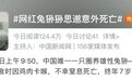 “最稀有网红”意外死亡，牵出动物园恐怖真相：有人虐待动物，有人救赎