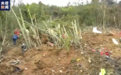 坠机核心区一片竹林面目全非 搜救犬和金属探测器上场搜寻