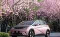 比亚迪海豚空调吹白色粉末，官方发布说明：无害！免费更换蒸发器