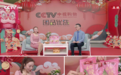 CCTV中视购物《国品优选》节目本期推介：嘻螺会螺蛳粉