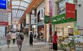海外市场成商家必争之地，植物医生如何靠单品牌店开辟新道路