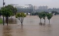 暴雨致韩国大批航班取消　首尔数千户家庭停电
