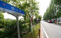 民之所望｜上海的乡村变美之路：路更宽，水更清，村民更幸福