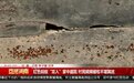严重可致死！看到千万警惕，海南屯昌多名村民被咬伤