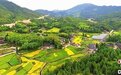 乡约福建：规划让乡村“颜值”更高乡愁更浓