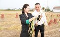 打造民族农副品牌，中农七朵以产业兴旺助力乡村振兴