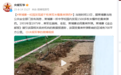 柬埔寨一所中学校园内发现1500多枚未爆炸的集束弹药