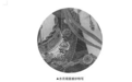 “极致细微”：法海寺横扫中国壁画江湖的“大杀器”