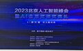 2023北京人工智能峰会在京举行 “飞雁计划”推动人工智能创新发展