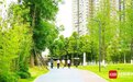 端午游成都“打卡”公园城市里的那些公园